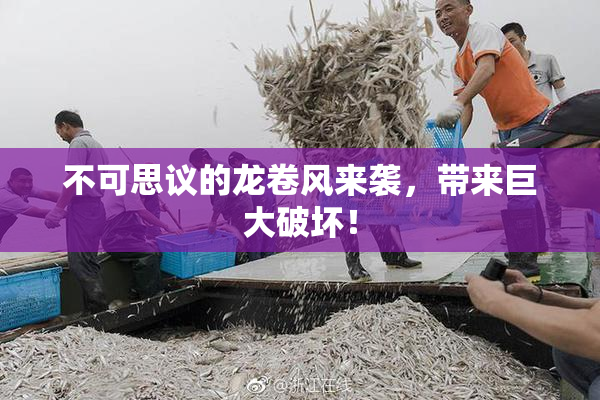 不可思议的龙卷风来袭，带来巨大破坏！