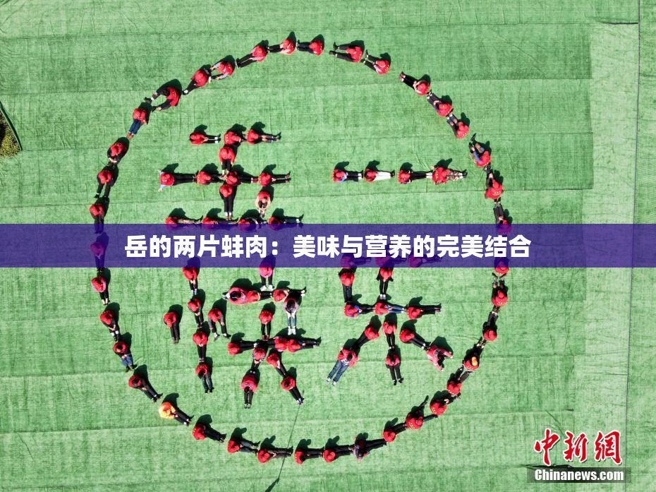 岳的两片蚌肉：美味与营养的完美结合