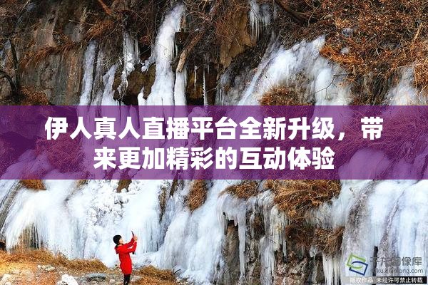 伊人真人直播平台全新升级，带来更加精彩的互动体验