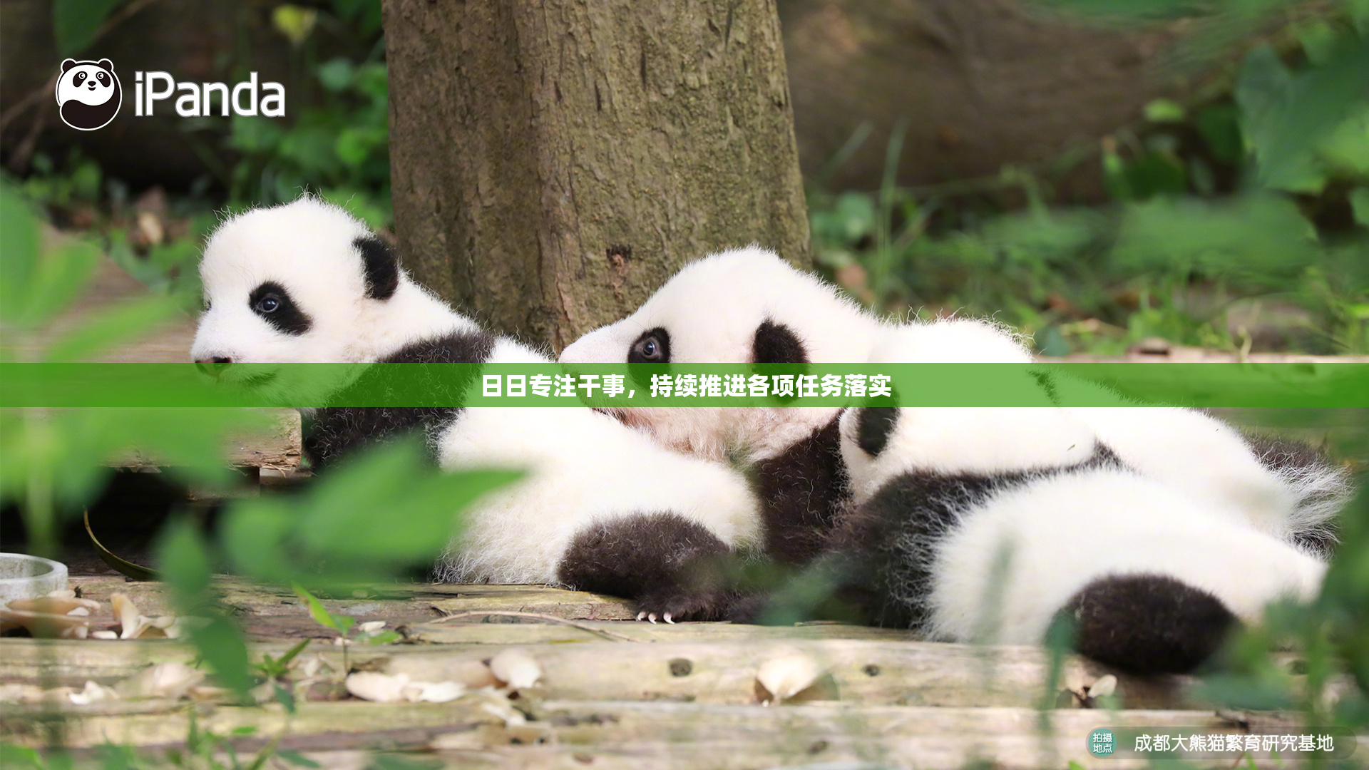 日日专注干事，持续推进各项任务落实