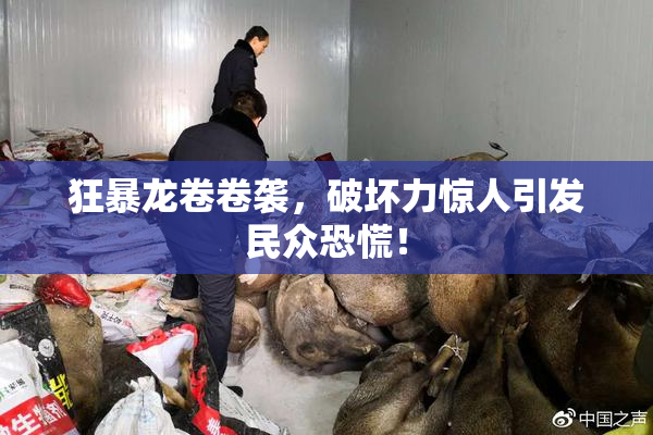 狂暴龙卷卷袭，破坏力惊人引发民众恐慌！