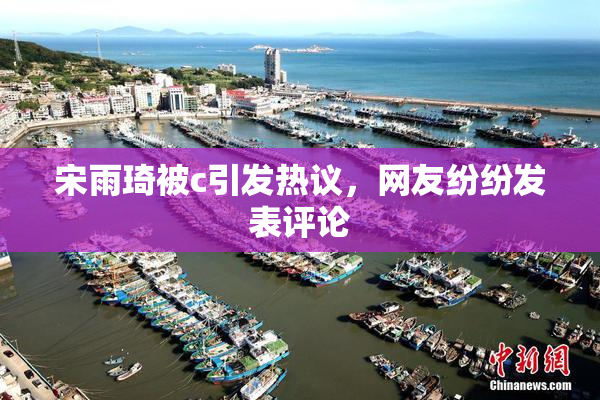 宋雨琦被c引发热议，网友纷纷发表评论
