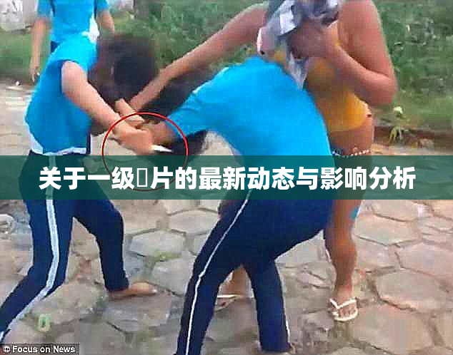 关于一级婬片的最新动态与影响分析