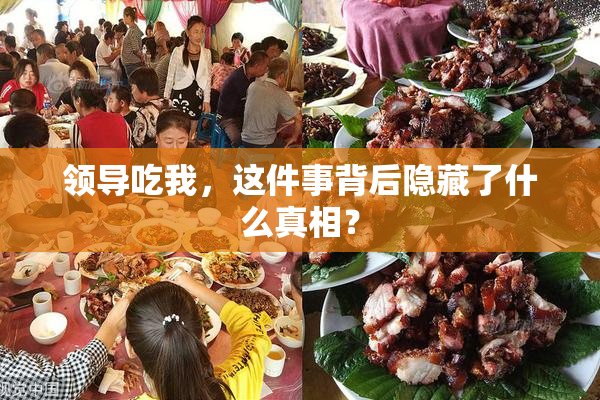 领导吃我，这件事背后隐藏了什么真相？