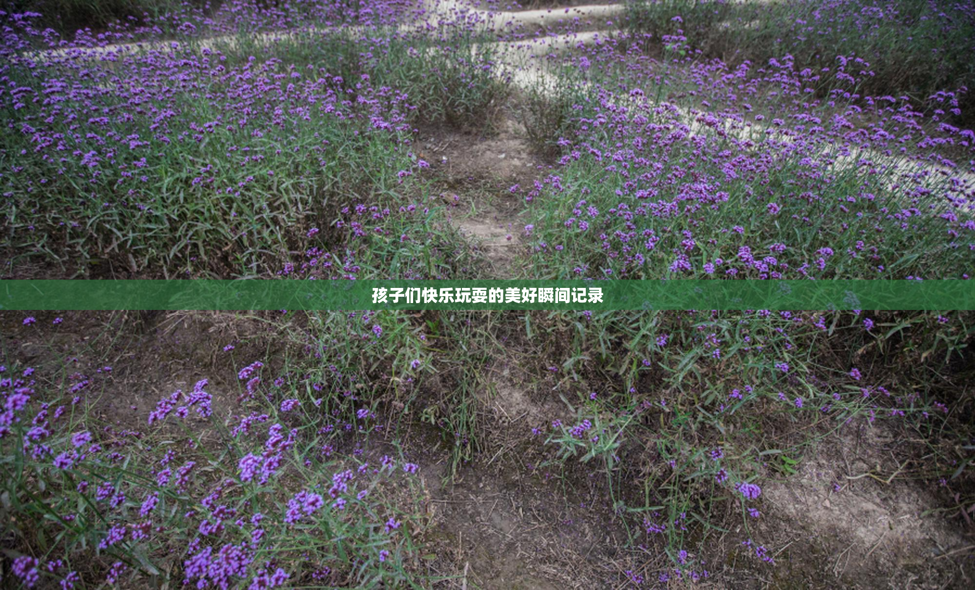 孩子们快乐玩耍的美好瞬间记录