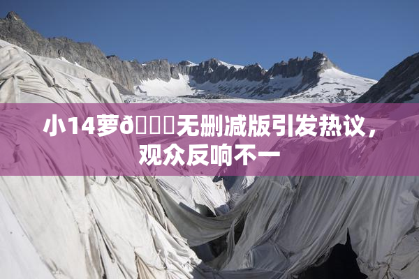 小14萝🔞无删减版引发热议，观众反响不一