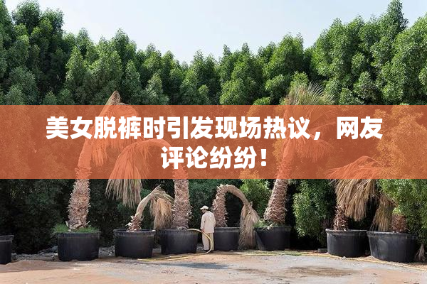 美女脱裤时引发现场热议，网友评论纷纷！