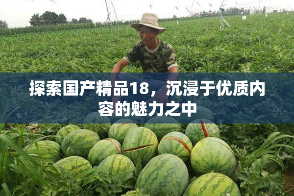 探索国产精品18，沉浸于优质内容的魅力之中