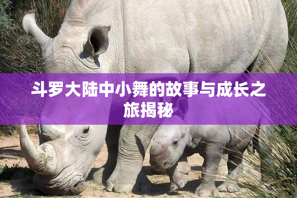 斗罗大陆中小舞的故事与成长之旅揭秘