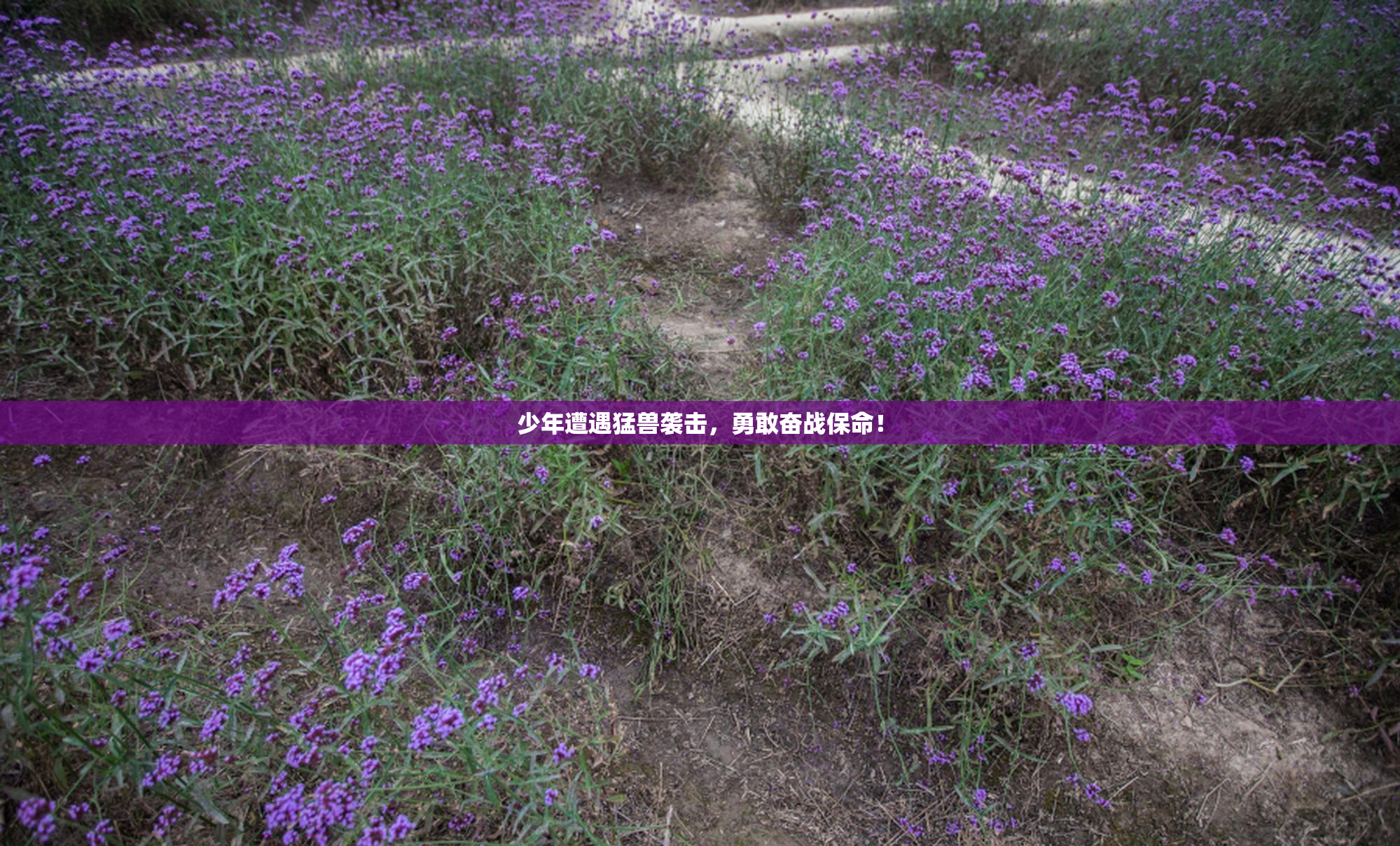 少年遭遇猛兽袭击，勇敢奋战保命！
