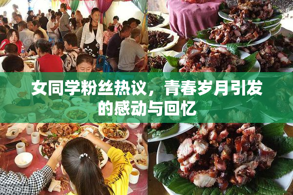 女同学粉丝热议，青春岁月引发的感动与回忆