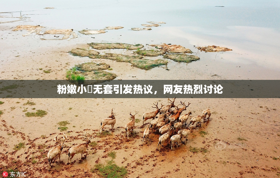 粉嫩小泬无套引发热议，网友热烈讨论