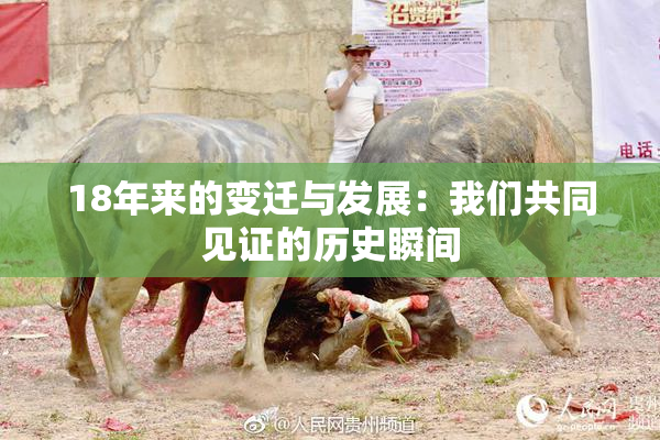 18年来的变迁与发展：我们共同见证的历史瞬间
