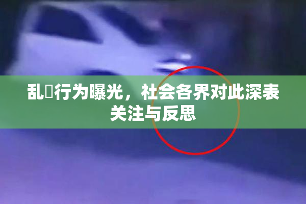 乱婬行为曝光，社会各界对此深表关注与反思