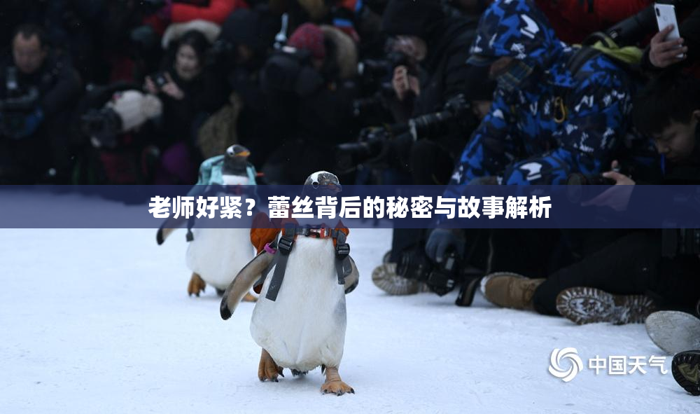 老师好紧？蕾丝背后的秘密与故事解析