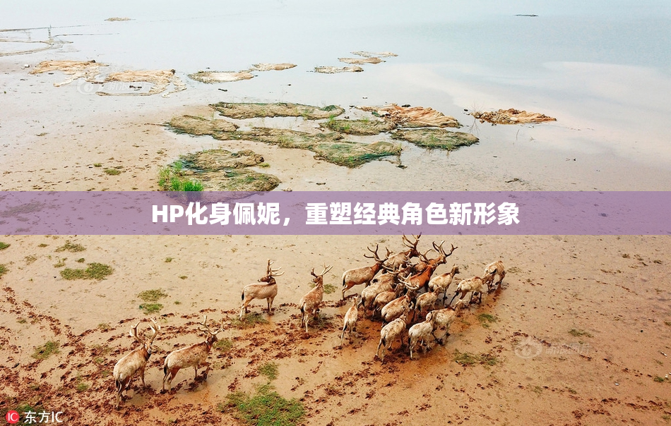 HP化身佩妮，重塑经典角色新形象
