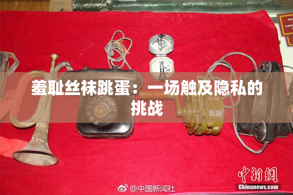 羞耻丝袜跳蛋：一场触及隐私的挑战