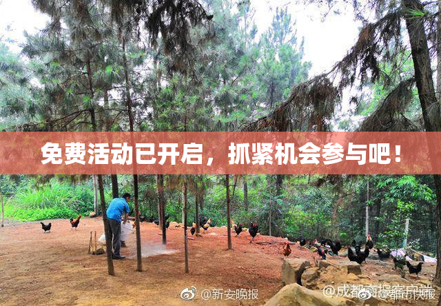 免费活动已开启，抓紧机会参与吧！