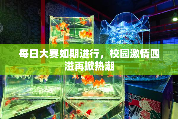 每日大赛如期进行，校园激情四溢再掀热潮
