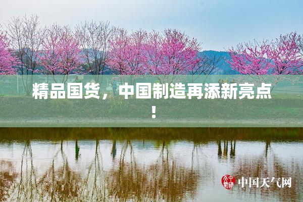 精品国货，中国制造再添新亮点！