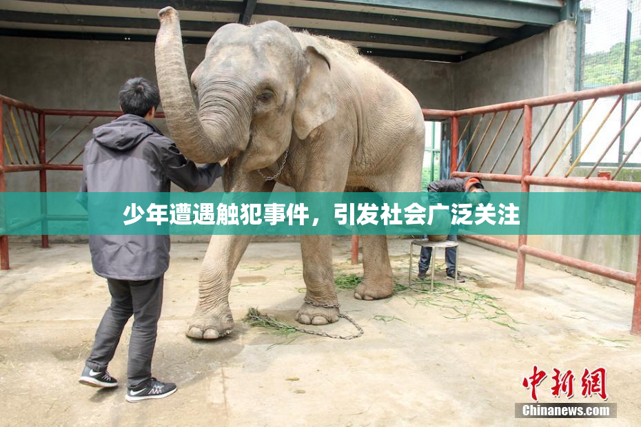 少年遭遇触犯事件，引发社会广泛关注