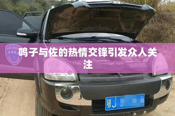 鸣子与佐的热情交锋引发众人关注
