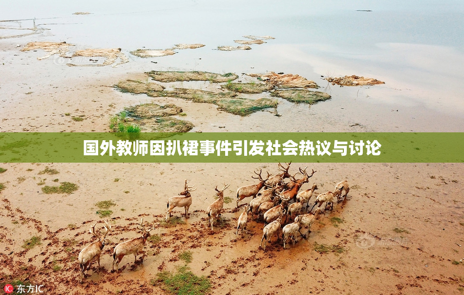 国外教师因扒裙事件引发社会热议与讨论