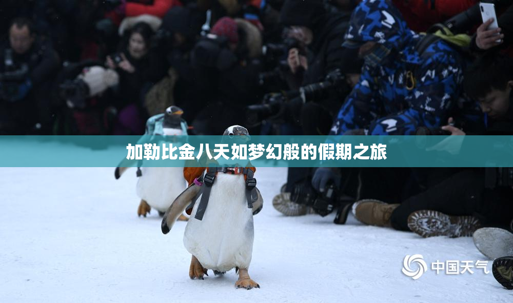 加勒比金八天如梦幻般的假期之旅
