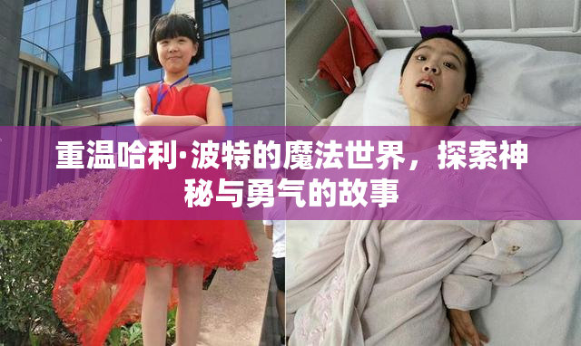 重温哈利·波特的魔法世界，探索神秘与勇气的故事