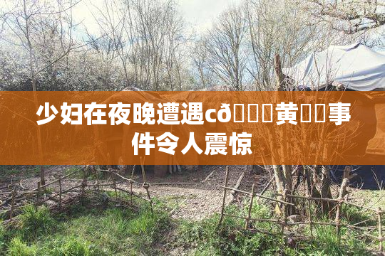 少妇在夜晚遭遇c🔞黄❌‌事件令人震惊