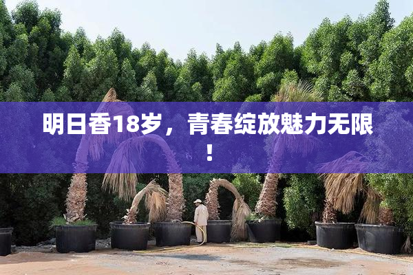 明日香18岁，青春绽放魅力无限！