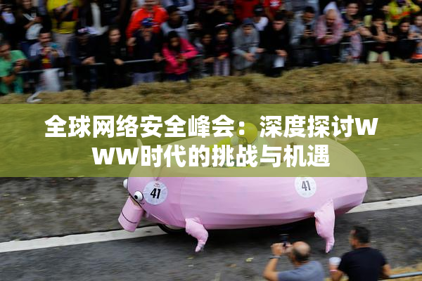 全球网络安全峰会：深度探讨WWW时代的挑战与机遇