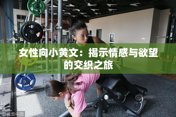 女性向小黄文：揭示情感与欲望的交织之旅