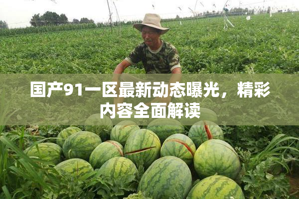 国产91一区最新动态曝光，精彩内容全面解读
