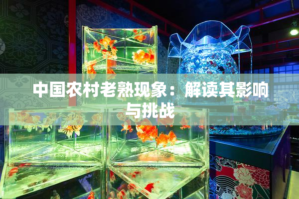中国农村老熟现象：解读其影响与挑战