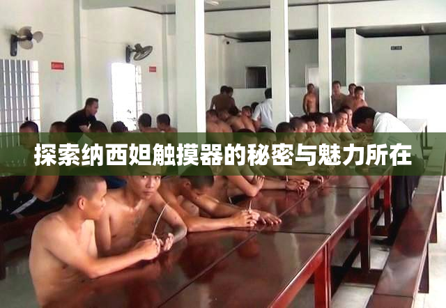 探索纳西妲触摸器的秘密与魅力所在