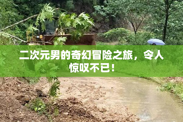 二次元男的奇幻冒险之旅，令人惊叹不已！