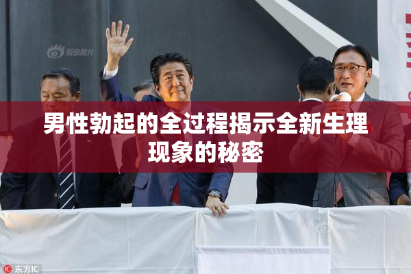 男性勃起的全过程揭示全新生理现象的秘密