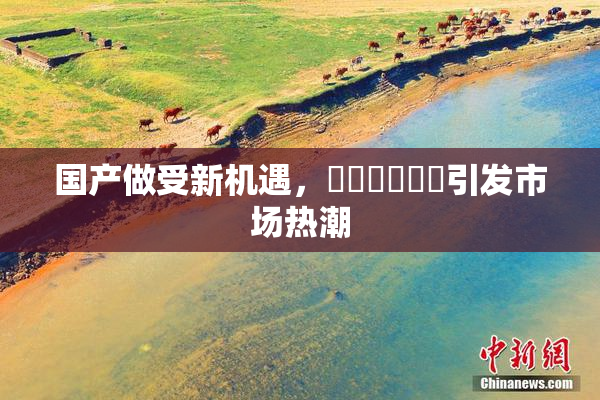国产做受新机遇，❌‌❌‌❌‌引发市场热潮