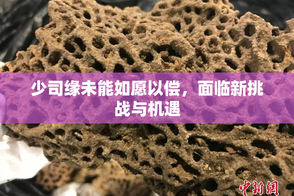 少司缘未能如愿以偿，面临新挑战与机遇