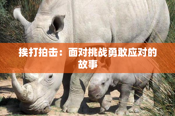 挨打拍击：面对挑战勇敢应对的故事