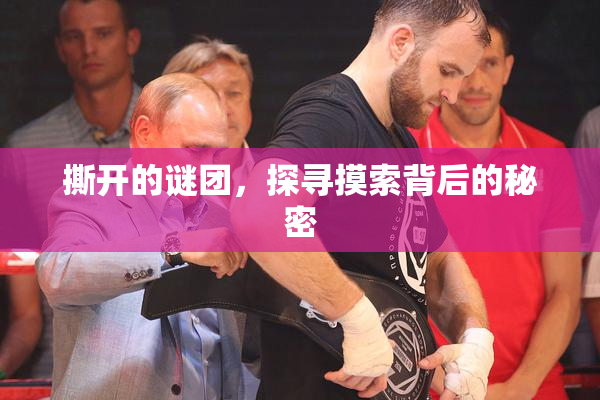撕开的谜团，探寻摸索背后的秘密