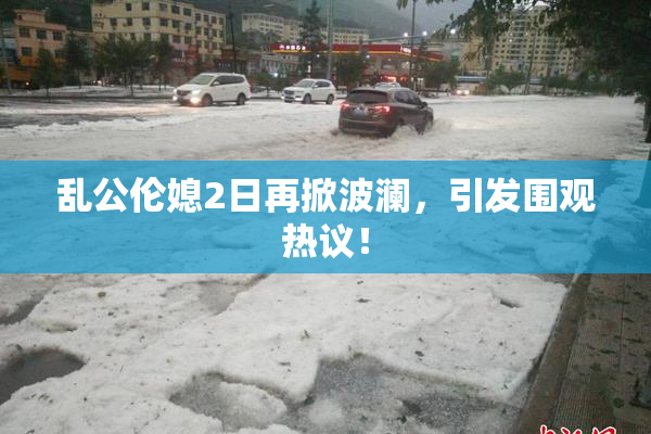 乱公伦媳2日再掀波澜，引发围观热议！