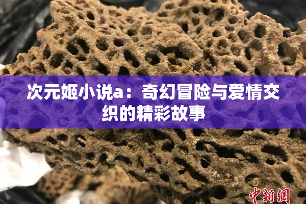 次元姬小说a：奇幻冒险与爱情交织的精彩故事