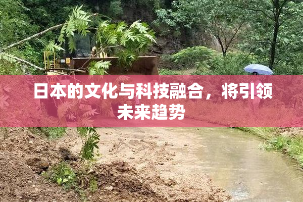 日本的文化与科技融合，将引领未来趋势