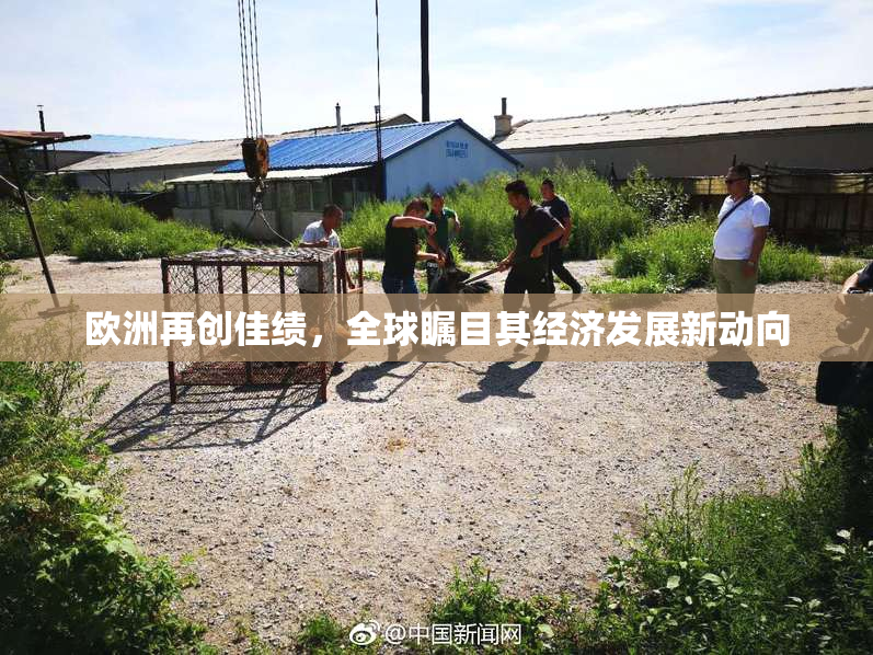 欧洲再创佳绩，全球瞩目其经济发展新动向