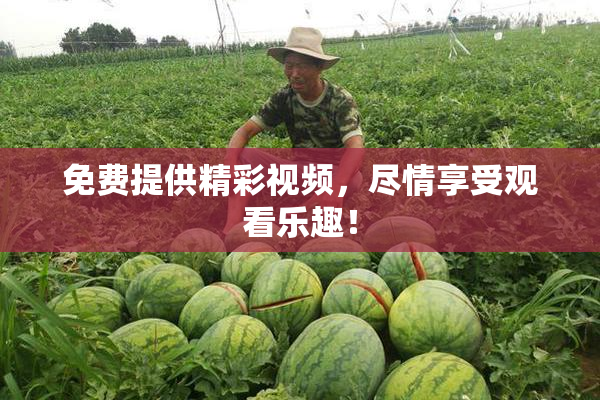 免费提供精彩视频，尽情享受观看乐趣！