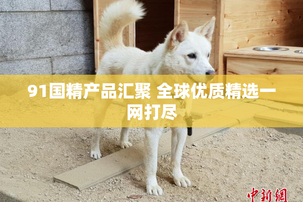 91国精产品汇聚 全球优质精选一网打尽