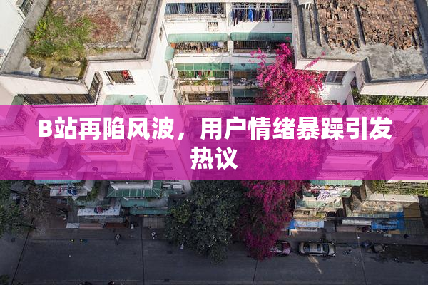B站再陷风波，用户情绪暴躁引发热议