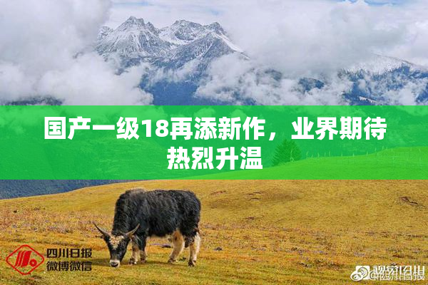 国产一级18再添新作，业界期待热烈升温